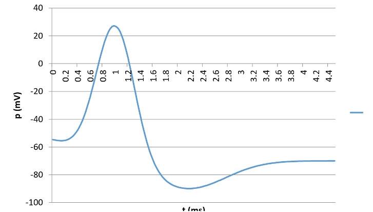 Chart showing the membrane potential generated by the simplified V(t) action-potential model.