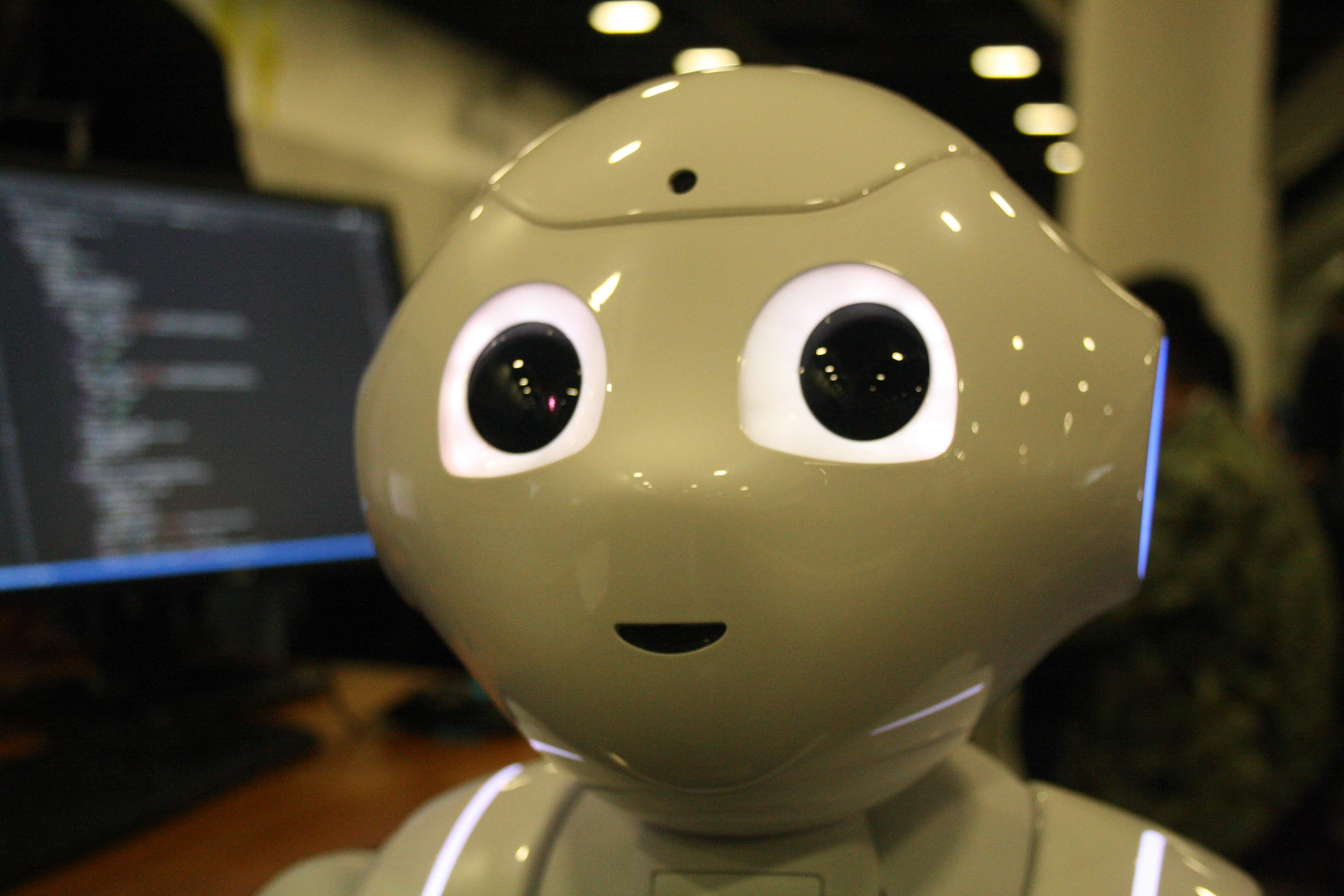 Pepper robot photographed on site during RoboCup 2019.