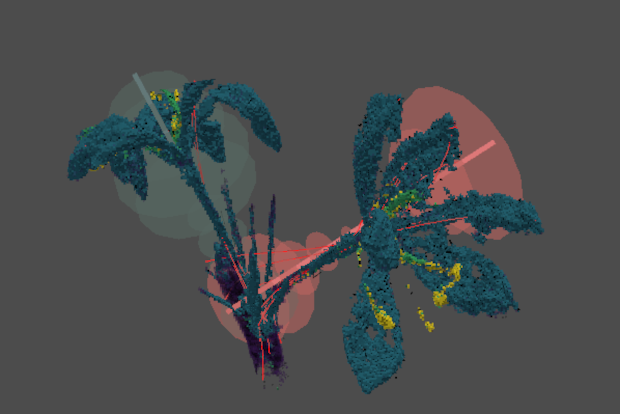 3D estimation for saffron picking